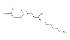 CAS: 65953-56-2/Biotin-C6-amine/生物素-C6-氨基