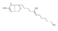  115416-38-1  生物素-C5-胺 (+)-Biotin-amine 生物素-氨基 