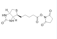 (+)-Biotin-NHS Ester 35013-72-0 生物素-N-羟基琥珀酰亚胺酯