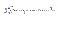 252881-76-8  (+)-Biotin-PEG3-acid   生物素-PEG3-羧基