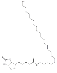 1334172-76-7  Biotin-PEG7-amine  小分子PEG   