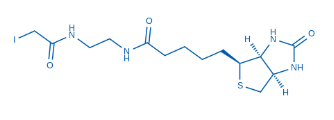 生物素-NHCO-C1-碘，216393-53-2，Biotin-NHCO-C1-I