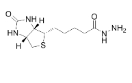 Biotin hydrazide，生物素酰肼，66640-86-6，羰基探针