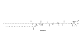 385437-57-0，磷脂PEG生物素，DSPE-PEG-Biotin		