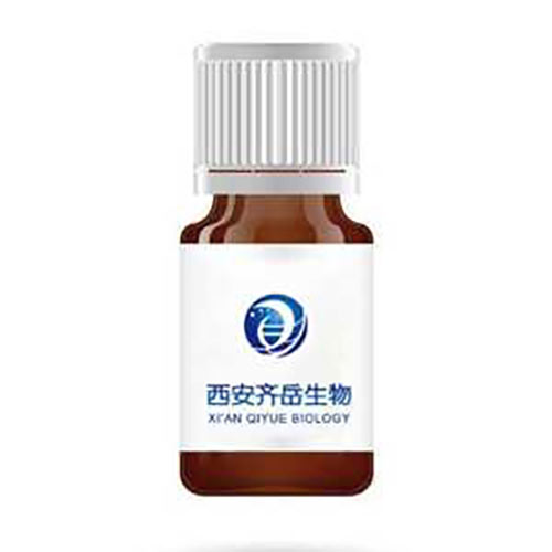 (+)-Biotin-PEG11-CH2CH2NH2；604786-74-5,生物素十一聚乙二醇氨基
