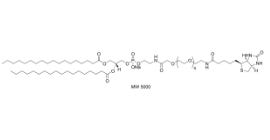 385437-57-0，DSPE-PEG-Biotin (MW 2000)，磷脂酰乙醇胺-聚乙二醇2000-生物素		