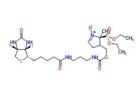 936224-52-1          DEPMPO-biotin		