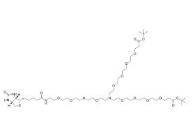 2112730-79-5        N-(Biotin-PEG4)-N-bis(PEG4-Boc)		
