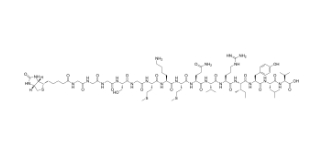 Biotin-H10