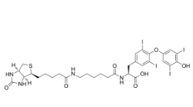 2278192-78-0        Biotin-hexanamide-(L-Thyroxine)	 生物素己酰胺-（L-甲状腺素）	
