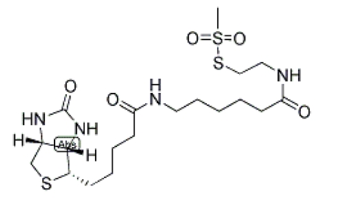 MTSEA Biotin-X(MTSEA生物素-X)