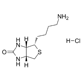 160385-86-4            Norbiotinamine hydrochloride	              化合物 T19481	