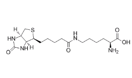 576-19-2         Biocytin	生物胞素	