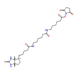 89889-52-1      Biotin-AC5-AC5-OSU          生物素氨基己酸氨基己酸琥珀酰亚胺酯		