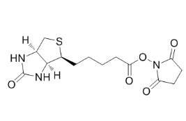 35013-72-0          生物素-N-琥珀酰亚胺基酯	         BIOTIN-NHS	