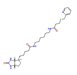 129179-83-5        Biotin HPDP	        生物素-二硫吡啶	