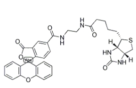 957494-27-8         生物素（5-熒光素）綴合物  	       BIOTIN (5-FLUORESCEIN) CONJUGATE