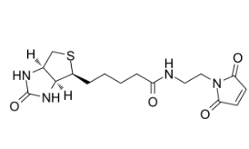 139554-72-6	  生物素 C2 马来酰亚胺         N-BIOTINYL-N'-MALEIMIDO-ETHYLENEDIAMINE