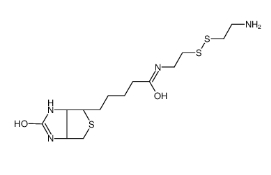 128915-82-2         Biotinyl Cystamine      生物素半胱胺