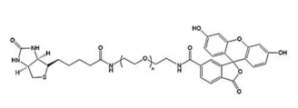 熒光素聚乙二醇生物素