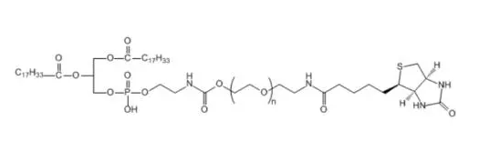 DPPE-PEG-Biotin 