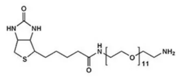 生物素PEG氨基 