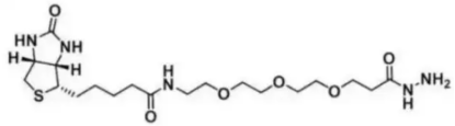 Biotin-PEG3-hydrazide 