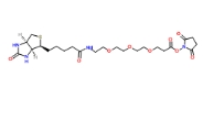 （+）-Biotin-PEG3-NHS Ester  1253286-56-4   生物素-PEG3-NHS酯