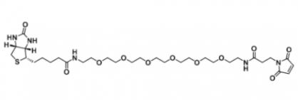 Biotin-PEG6-maleimide 