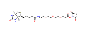 1253286-56-4；Biotin-PEG3-NHS ester
