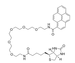 Pyrene-PEG5-biotin   芘丁酸PEG生物素