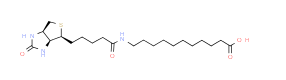 CAS：1864003-57-5；(+)-Biotin-SLC