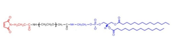 二肉豆蔻酰磷脂酰乙醇胺-聚乙二醇-馬來酰亞胺  
