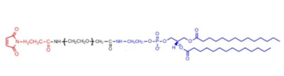  Maleimide-PEG-DMPE  