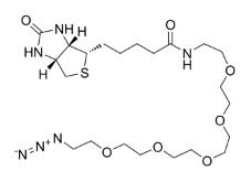 Biotin-PEG5-azide，1163732-89-5,生物素-五聚乙二醇-疊氮