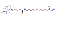 Biotin-PEG3-hydrazide，1381861-94-4，生物素-PEG3-酰肼