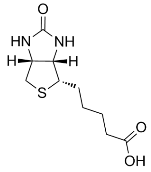 D-生物素；58-85-5；D-Biotin