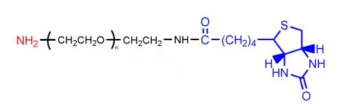 氨基聚乙二醇生物素  