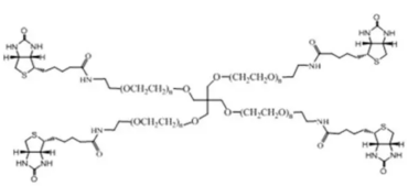 四臂-聚乙二醇-生物素  