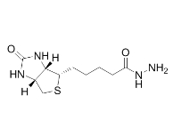 cas:66640-86-6          生物素酰肼 