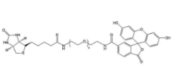 熒光素聚乙二醇生物素  