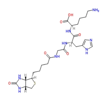 299157-54-3          生物素酰基甘氨酰组氨酰赖氨酸        Biotinoyl Tripeptide-1