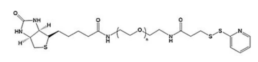 巯基吡啶聚乙二醇生物素  