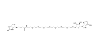 Biotin-PEG8-Vidarabine