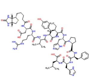 1815618-04-2           Biotinyl-Angiotensin I	              生物素修饰	