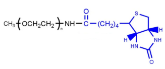 mPEG-生物素  