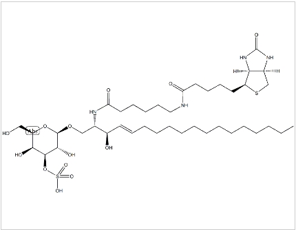 C6 Biotin 3'-sulfo Galactosylceramide (d18:1/6:0)