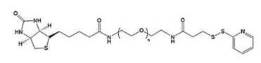 巰基吡啶聚乙二醇生物素  