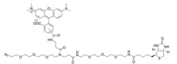 四甲基罗丹明-生物素-叠氮  