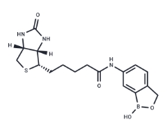 Biotin-Benzoboroxole  
